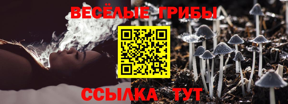 Татарск  купить  сайты  Вход с VPN  Псилоцибиновые грибы мицелий 